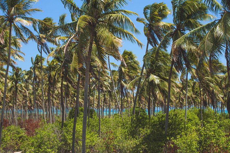 Casa Brise Seu Refúgio Tropical